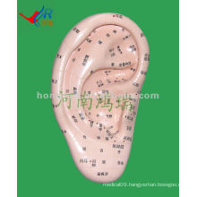 HR-514A vivid ear massager model(17 cm ),acupuncture ear massager